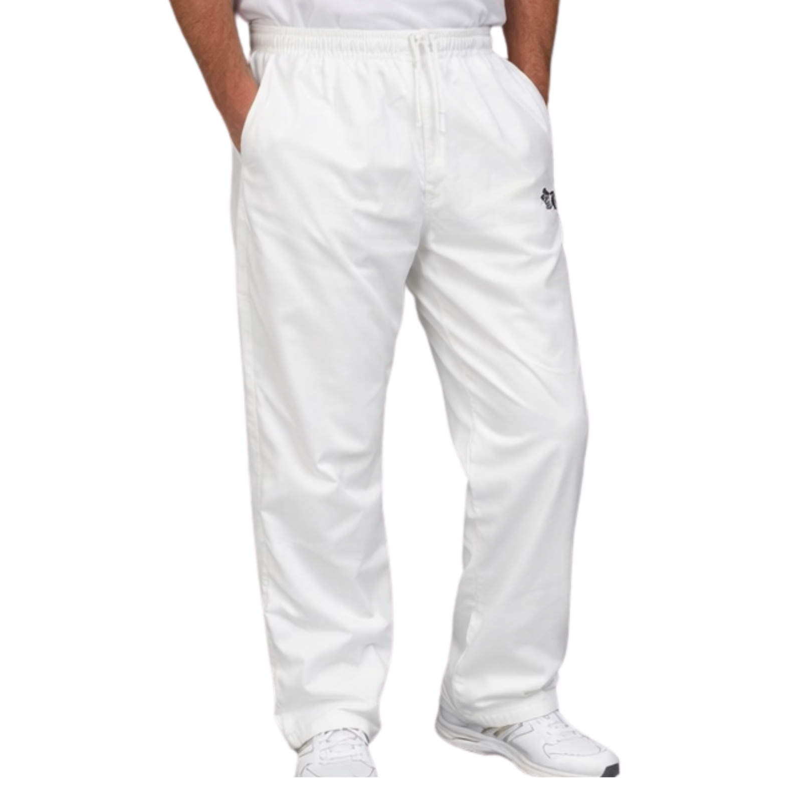 https://i.ebayimg.com/00/s/MTYwMFgxNjAw/z/4v8AAeSw8Ghp14rY/$_57.PNG