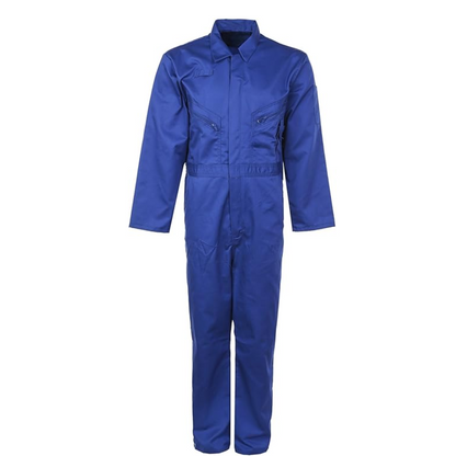 https://i.ebayimg.com/00/s/MTYwMFgxNjAw/z/~2IAAeSwGW5o1VdI/$_57.PNG